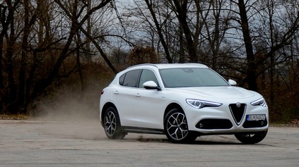 TEST ALFA ROMEO STELVIO 2.2 JTD: TALIANSKA KOBRA 11