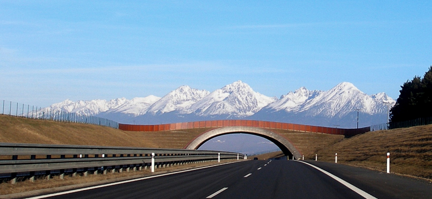 5 tipov pre tohtoročné road tripy na Slovensku