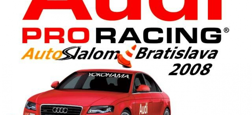 Audi PRO RACING AutoSlalom