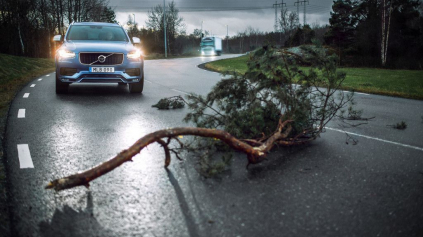 Volvo osobné a nákladné autá prepojí. Kvôli bezpečnosti