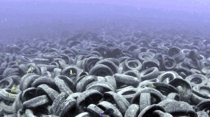 Z pokusu urýchliť rast korálových útesov starými pneumatikami sa stala ekologická katastrofa