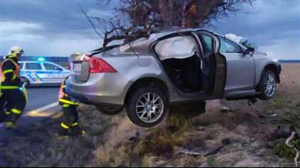 Hrozná nehoda Volvo S60. Omotané okolo stromu meter vysoko