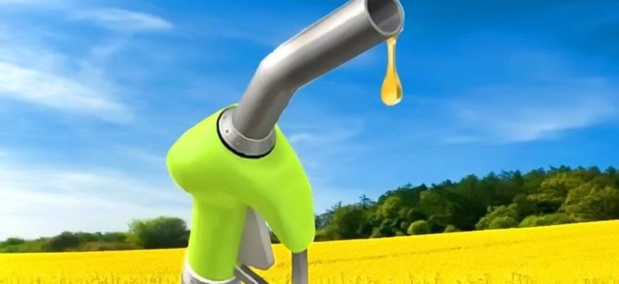 Zákaz biopalív na pôde EÚ neprešiel. Prehĺbi to potravinovú krízu, tvrdia aktivisti