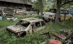 Chorobné hromadenie vs zberateľstvo: Kde leží tenká alebo skôr hrubá hranica?