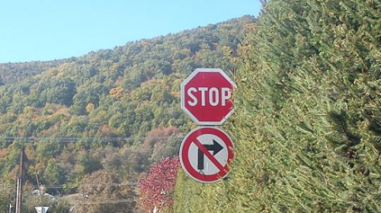 NE-zastavenie na STOP-ke. Mýty a fakty