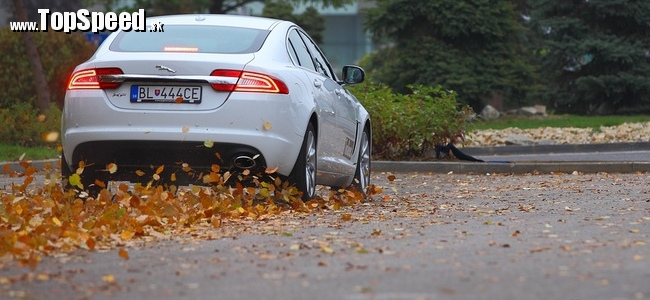 Test Jaguar XF AJ i4 2,2 Diesel