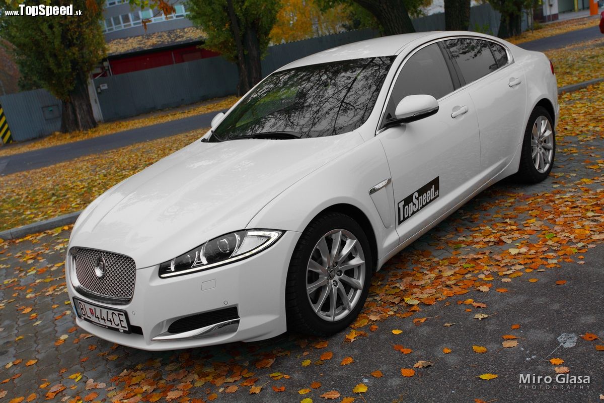 Jaguar XF je sktutočne nádherný kusisko auta.