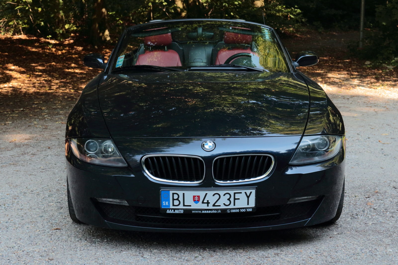 Jazdenka BMW Z4 E85