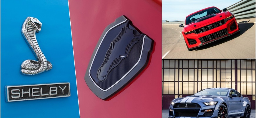 Ford Mustang bez Shelby? Čo je za tým? Dôvod je prekvapivo jednoduchý