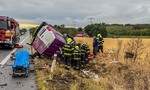 Česi zverejnili tvrdé čísla. Nepozornosť za volantom a rýchlosť zabíjajú
