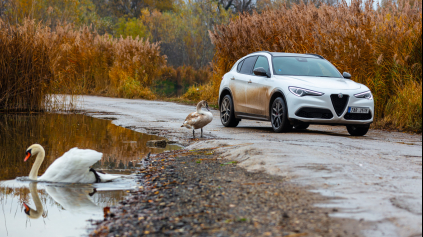 TEST Alfa Romeo Stelvio - Labuť medzi kačicami