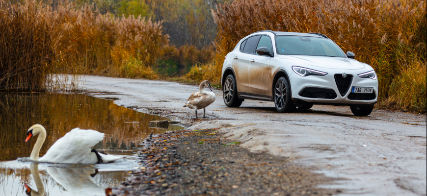 TEST Alfa Romeo Stelvio - Labuť medzi kačicami