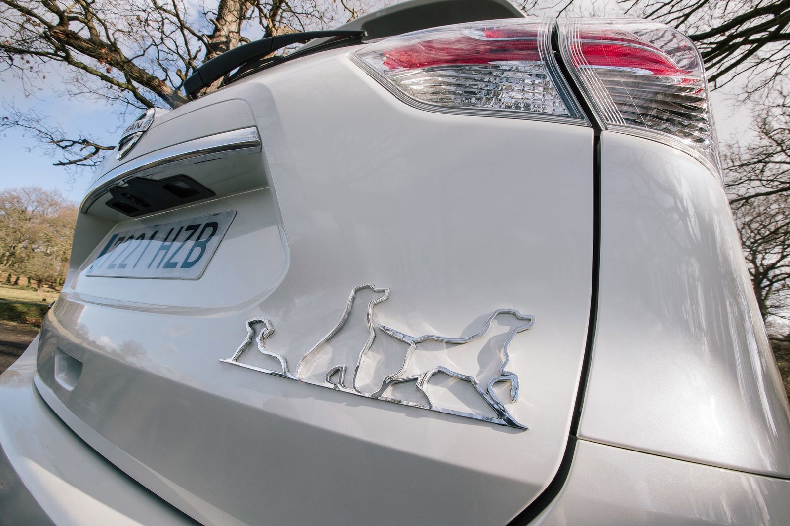 Nissan X-Trail 4Dogs