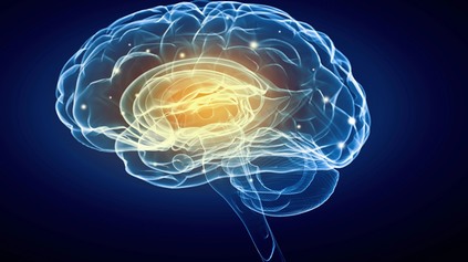 Môže jazda dynamickým autom pozitívne vplývať na psychiku? Výzkum ukazuje, že áno
