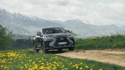 TYP NX JE NAJOBĽÚBENEJŠÍ LEXUS V EURÓPE