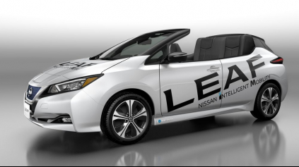 NISSAN LEAF BEZ STRECHY?