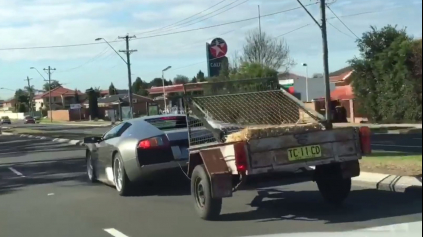 Lamborghini Murcielago s kozami v prívese?