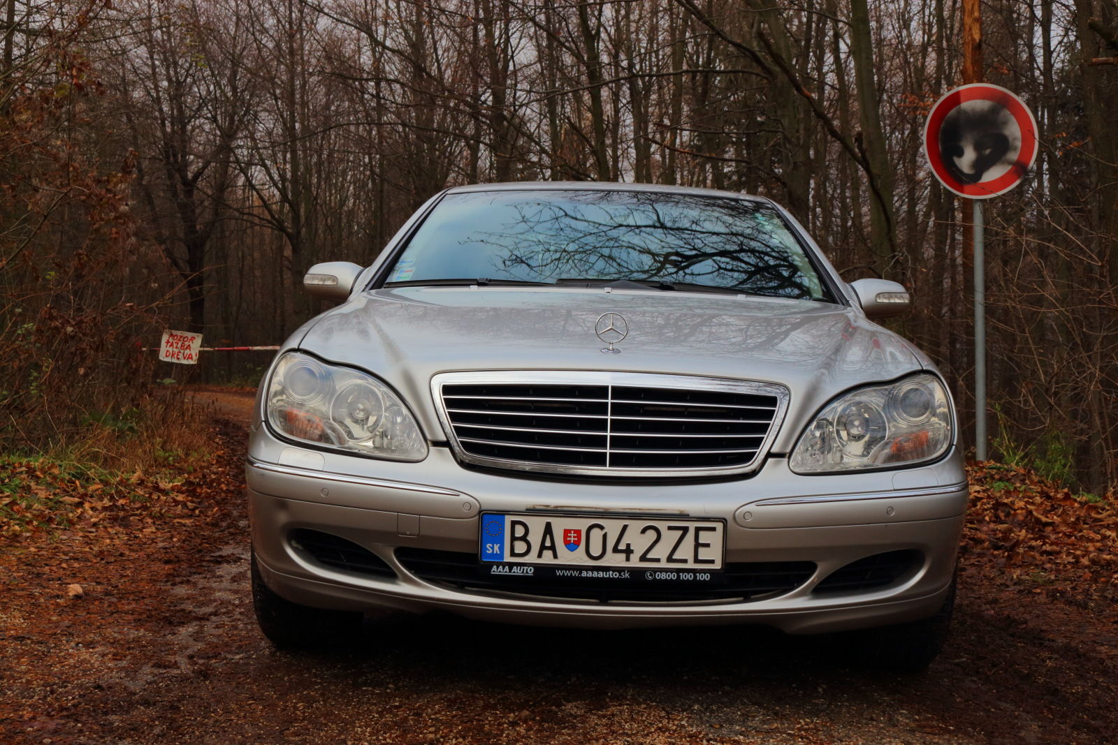 TopSpeed.sk test jazdenky Mercedes triedy S W220