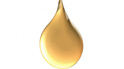 FUCHS ZÍSKAL DAIMLER SUPPLIER AWARD 2009