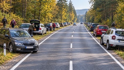 POKUTY PRE HUBÁROV: KEDY SA Z VÝLETU DO LESA STANE DRAHÁ PRAŽENICA?